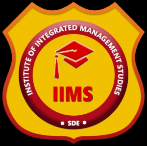 1 Year International MBA Program